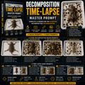 Decomposition Time-Lapse Master Prompt – Scientific AI Image & Video Workflow for Google Flow & Veo 3